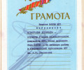 zubayraev_25