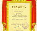 zubayraev_28