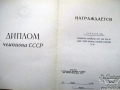 img_8084-copier